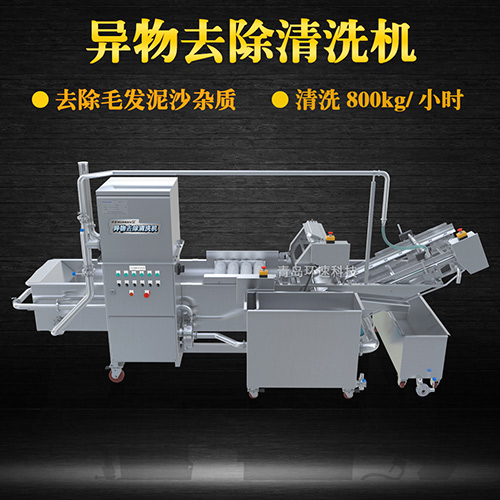 蔬菜清洗设备，气泡清洗，清洗800kg小时